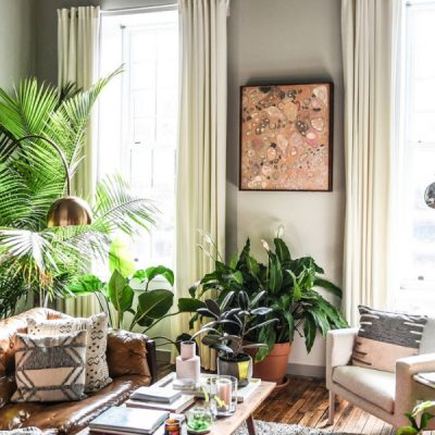 Зелёный интерьер — как растения могут преобразить вашу квартиру